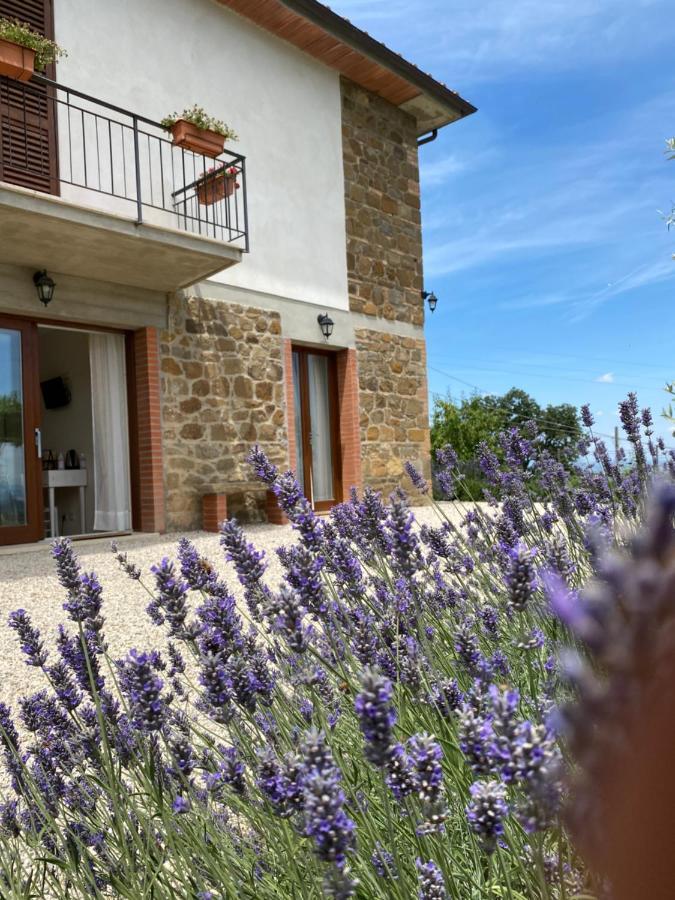 Podere Belsogno Montalcino Eksteriør bilde